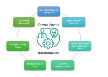 holistic-organizational-talent-development:-a-business-imperative-for-transformation